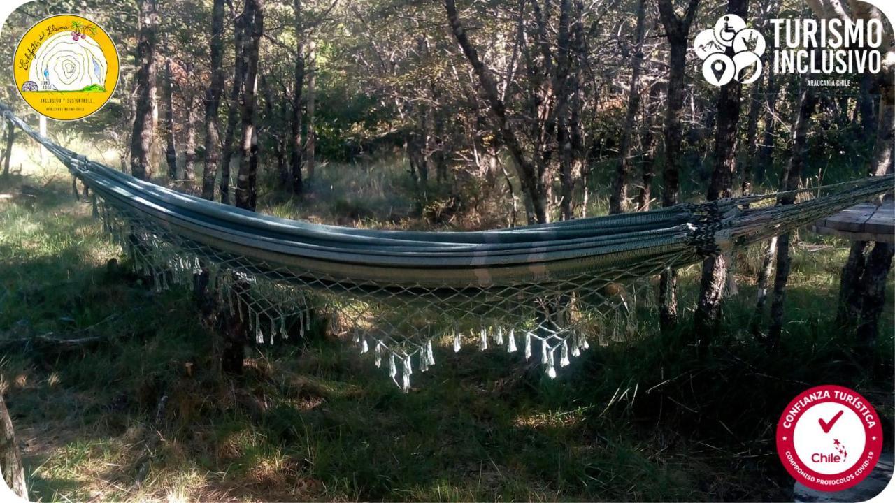 Centro Turistico Calafates Del Llaima Βίλα Conguillio Εξωτερικό φωτογραφία